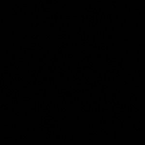 Meet your Posher, Sophia